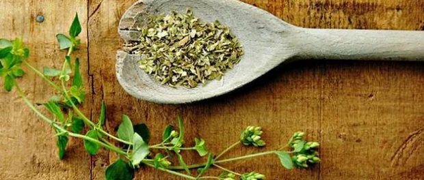 Oregano significado espiritual