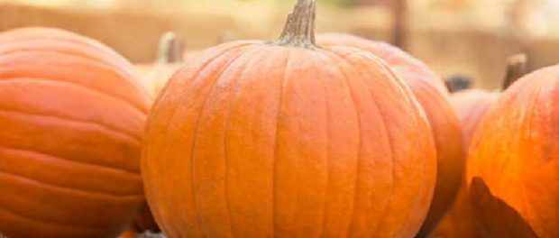 Pumpkin meaning esoteric spells and rituals w 1