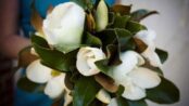 magnolia significado espiritual