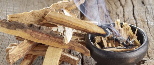 palo santo significado espiritual