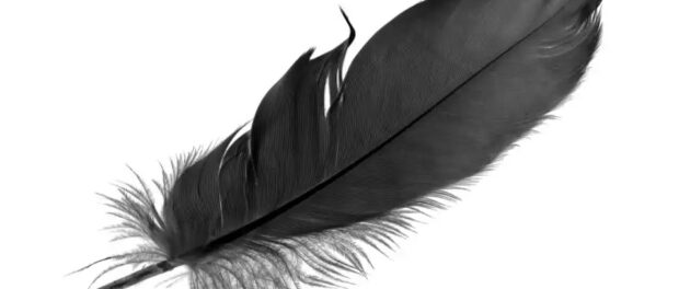 pluma negra significado espiritual